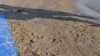 русское порно
самый лучший русский секс
свежее русское порно
секс русс
русский трах
русский ххх видео
russkiy seks
порно видео по русски
смотреть русский секс
секс порно русское
порнуха на русском бесплатно
секис рус
sekis ruski
смотреть русское порно видео
секс рус
порно по русски
русская порнография
смотреть русские порно ролики
русское порно новинки
русское порно смотреть онлайн
русское порнорусское порно
russian sex
porno русское
русское порно в хорошем качестве
русское порно hd
русское порево
русское порно онлайн бесплатно
порно по руски
бесплатное русское порно
porno russia
русские порно ролики
ruskiy seks
новое русское порно
russian porno
порно порус русское
секс по русски
секси руси
русская ебля
русский секс онлайн
русская порнуха
ruscha sekis
russkoe porno
трах по русски
rus porn
порно на руском язику
русский сек
порнуха русская версия
русское порно ххх
русское порно видео
порно на русском языке
секс на руском
русская порнушка
порно видео россия
русское порно онлайн
ххх русское
российский секс
лучшее русское порно
порно сайт бесплатный русский
русские порно сайты
смотреть русское порно
трахнул русскую
ебут русскую
порно на руском языке
ххх на русском языке
порнуха на руском языке
russkoe porno video
российское порно
русское порно видео бесплатно
русское п
русское порно смотреть бесплатно
просто порно на русском
русское порно видео смотреть бесплатно
ruscha seks
секс россия
посмотреть русское порно
русское порно видео смотреть бесплатно без регистрации
порнуха на русском языке
порнография бесплатно русская
порно ролики короткие русское
порнушку на русском языке
новый русский секс
xxx russian
наше порно
russian porn
русское парно
секс бесплатно на русском
русское порно видео онлайн
рус порно
русское ххх видео бесплатно
порно на руском
порно ру
порно русс
порно на русском языке смотреть бесплатно
порно видео бесплатно на русском языке
выебал русскую
русское 18
rus porno
просто порно по русски
русвидео
порно на русском языке в хорошем качестве
rus sex
секс на рус языке
смотреть русскую порнуху
эротика видео бесплатно русское
russkiy porno
порнуха русская девушка
новое русское порно видео
включи русскую порнуху
порно на русском категории
трахает русскую
смотреть русское порно онлайн бесплатно
порно русскон
бесплатное русское порно видео
xxx русское
sekis rus
русское порно нд
порно р
любить по русски порно
ру секс видео
порно на русском языке бесплатно смотреть онлайн
эротика видео русских
ебля по русски
rus seks
ххх рус
porno russ
русский секс
порнуха на русском языке бесплатно
русское порно на русском языке
русское порно 24
русское порно бесплатно
секс видео русское
русское видео для взрослых
порно рф
смотреть порно видео на русском языке
ruski sex
ру порно видео
русское порно ххх видео бесплатно абсолютно
покажи русское порно
порно россия
порно раша
эротика для взрослых русская
порнуха по русски
секс ру
порно сайты россии
рус видео порно
русское поно
русский интим
секс руский
порно видео смотреть бесплатно на русском языке
русвидеос
рус порно секс
включи русское порно
хороший секс на русском языке
просто порно на русском языке
порно русь
хорошее русское порно на русском языке
порно ролик ру
sex russia
секси руски
бесплатная эротика на русском языке
ruski seks
секс видео на русском языке
секис ру
xxx rus
секс на руском языке
секс русские девушки
смотреть порно на русском языке
ruskiy porno
эротика бесплатно на русском
смотреть порно бесплатное русское
голые русские
ruski porno
секис руски
sekis ru
порно ролики на русском языке
секс порно на русском языке
порно видео на русском языке
руское порно на руском языке
красивое русское порно
эротика россия
порно русское смотреть бесплатно
секс руси
русское поро
красивый русский секс
секс руски
секс смотреть бесплатно на русском
порно русские девушки
ебля русских женщин
секс на русском языке
ебарус порно
смотреть бесплатно русское порно
порно новое русское
ебут русских баб
rusvideo
